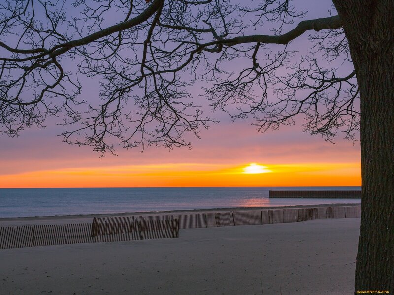 Sunset over Beach — Orange, Serene, Photograph, Tree