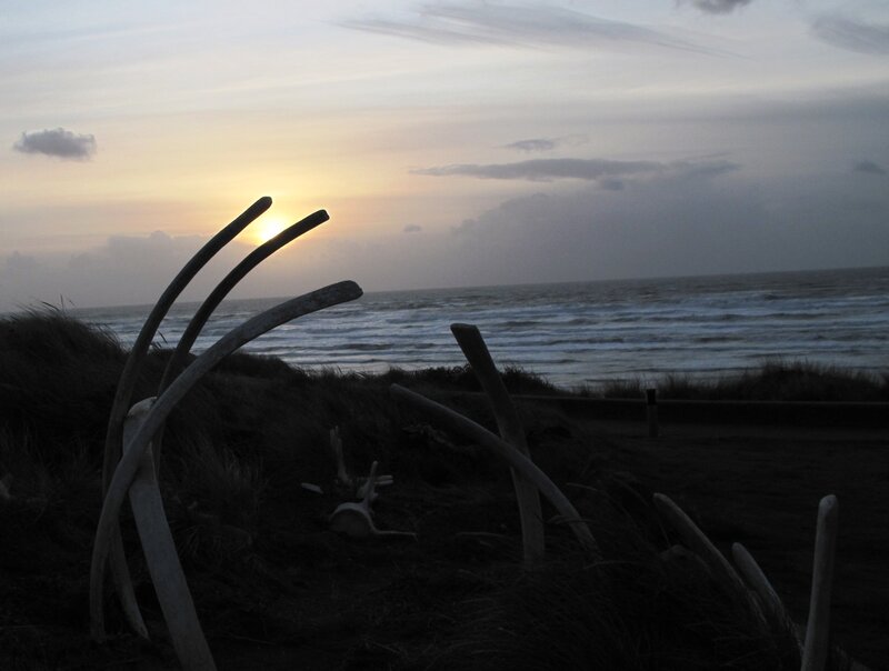 Sunset over beach with whale bones