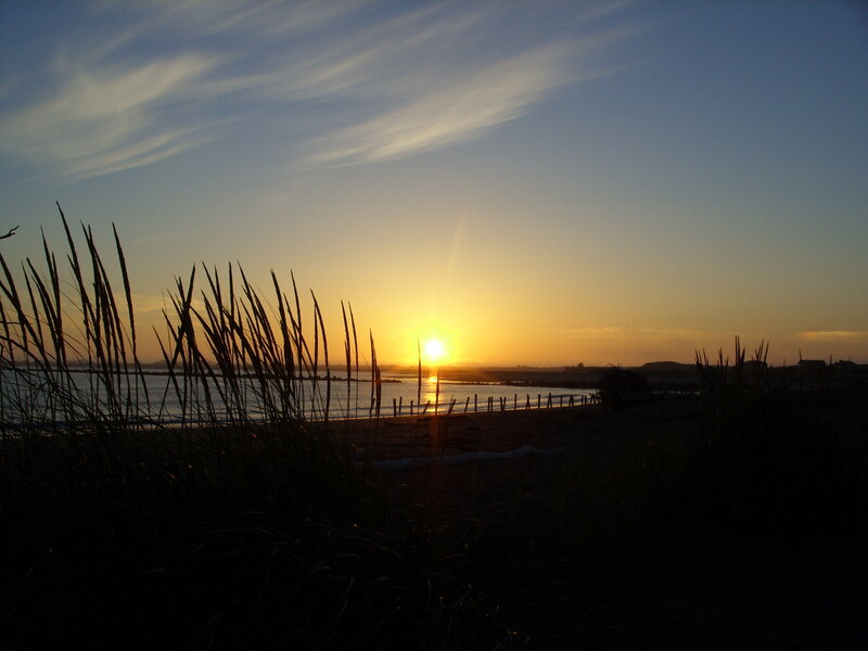Sunset over Beach — Yellow, Serene, Photograph, Grass