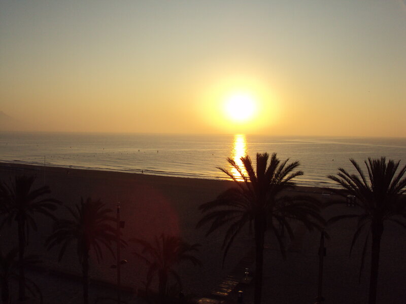 Sunset over Beach — Yellow, Serene, Photograph, Palm Trees