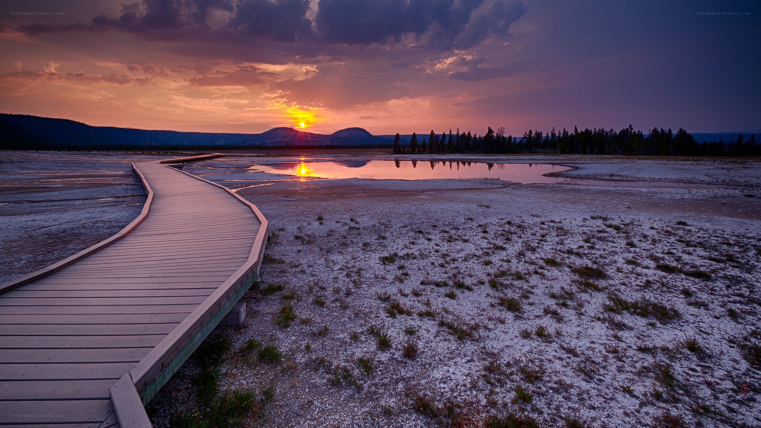 Sunset over boardwalk and pond