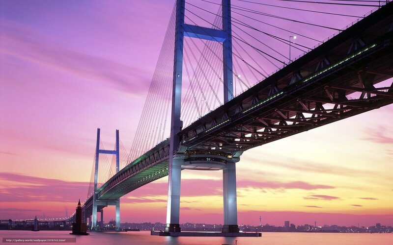 sunset over cable-stayed bridge