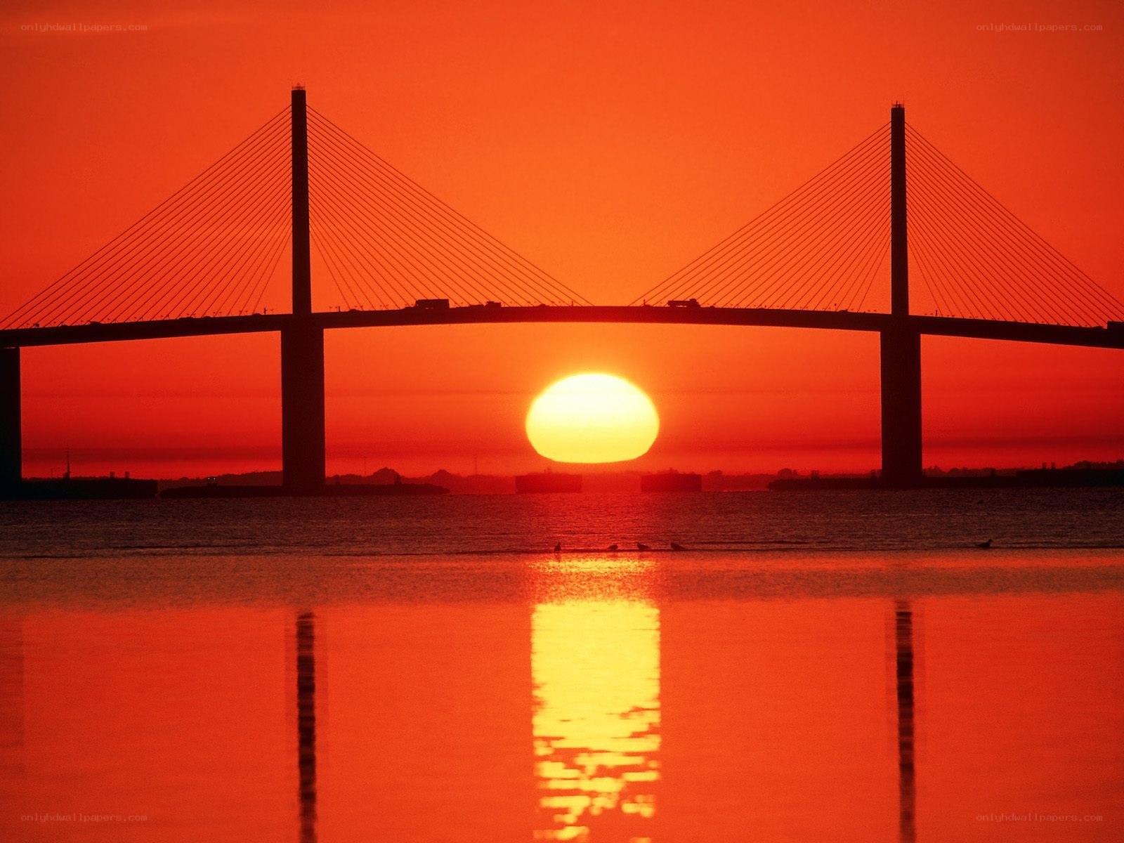 Sunset over cable-stayed bridge