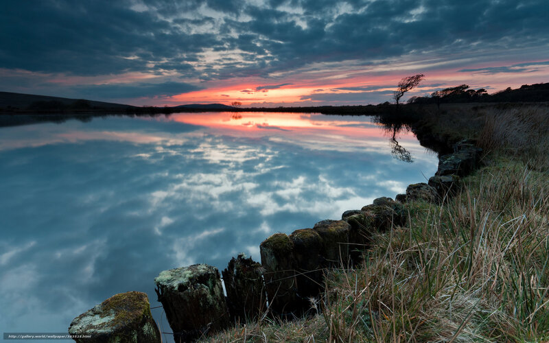 Sunset over Calm Lake — Blue, Serene, Photograph, Clouds, Trees