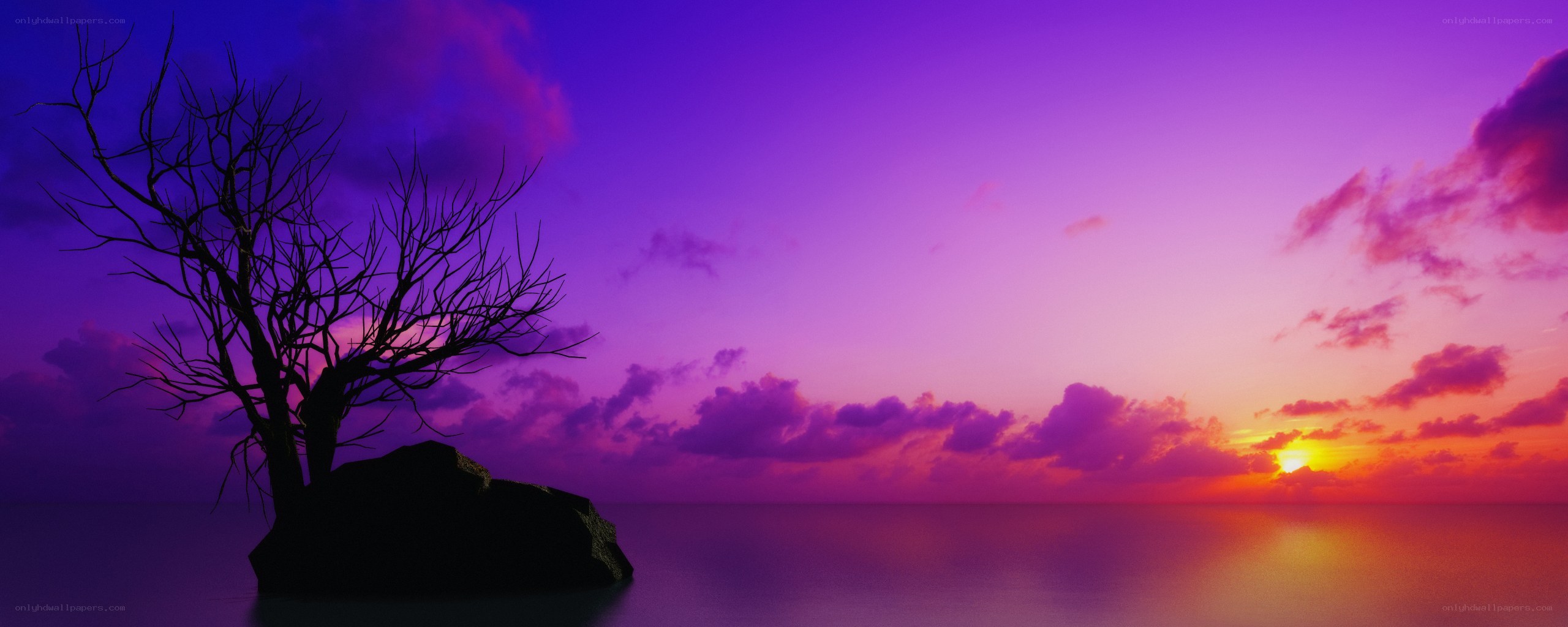 sunset over calm sea