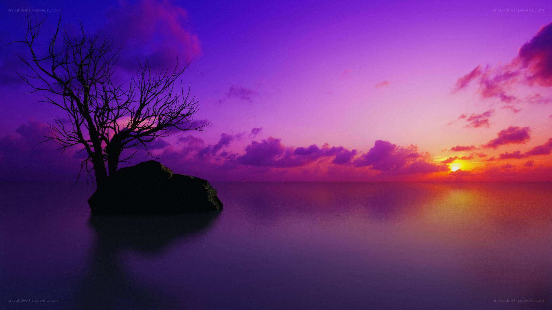 Sunset over calm sea