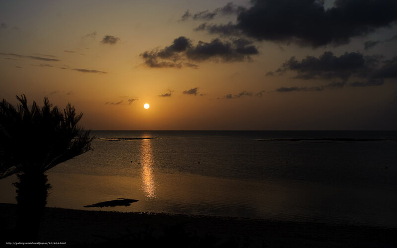 Sunset over Calm Sea — Orange, Serene, Photograph, Palm Tree