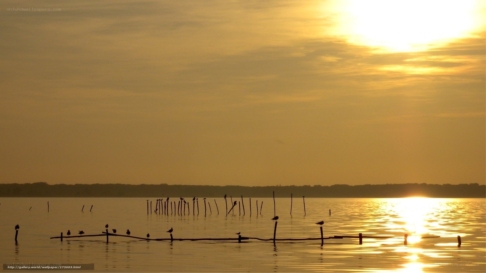 Sunset over calm water