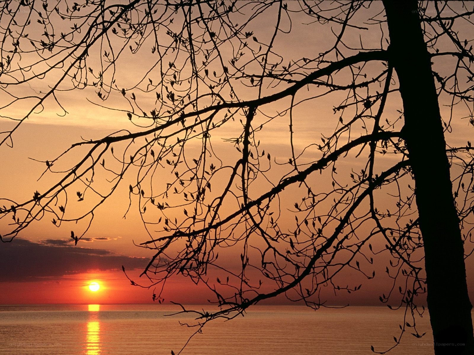 Sunset over calm water