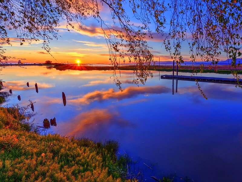 Sunset over Calm Water — Blue, Serene, Photograph, Trees