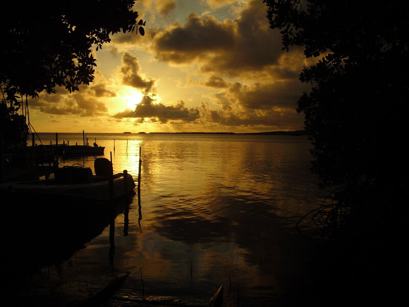 Sunset over Calm Water — Gold, Serene