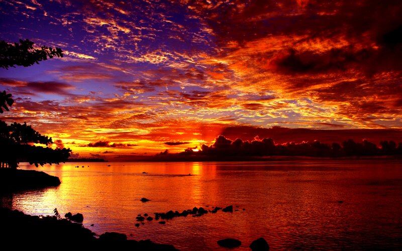 Sunset over Calm Water — Orange, Dramatic, Photograph, Clouds, Trees
