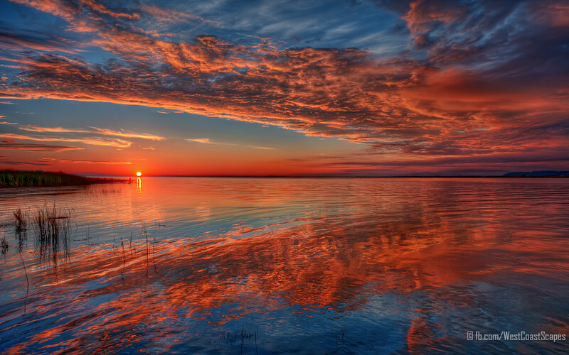 Sunset over Calm Water — Orange, Dramatic, Photograph, Sun, Clouds, Reeds