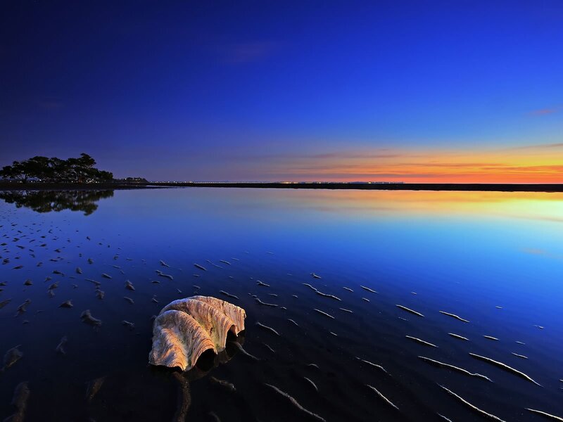 Sunset over calm water with driftwood