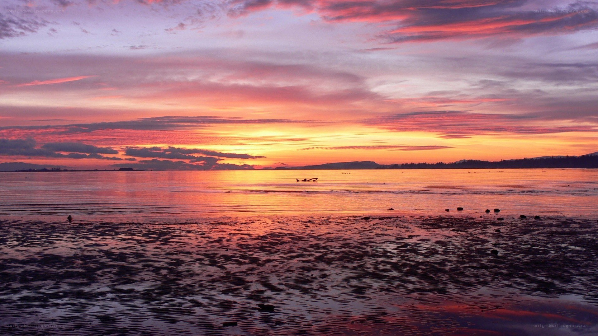 sunset over calm waters