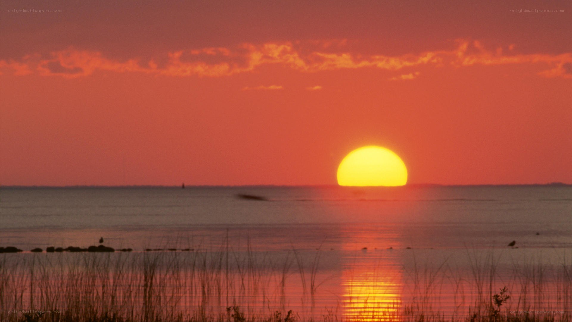 Sunset over calm waters