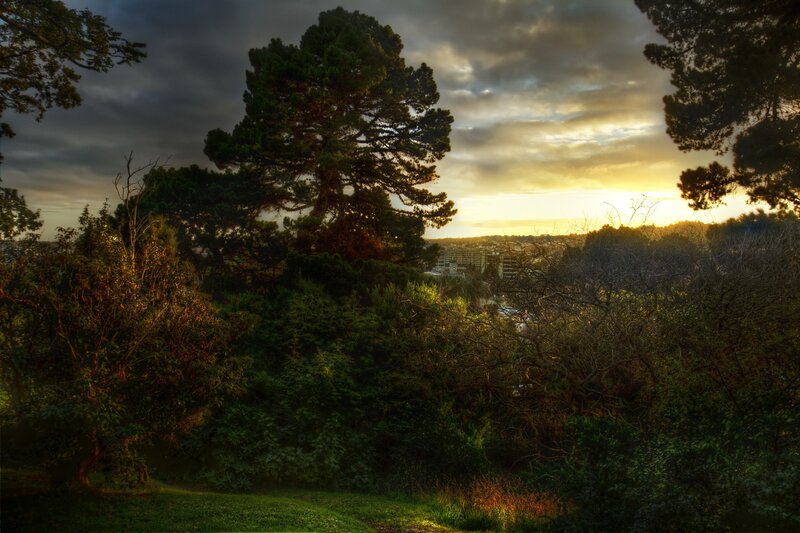 Sunset over city from park