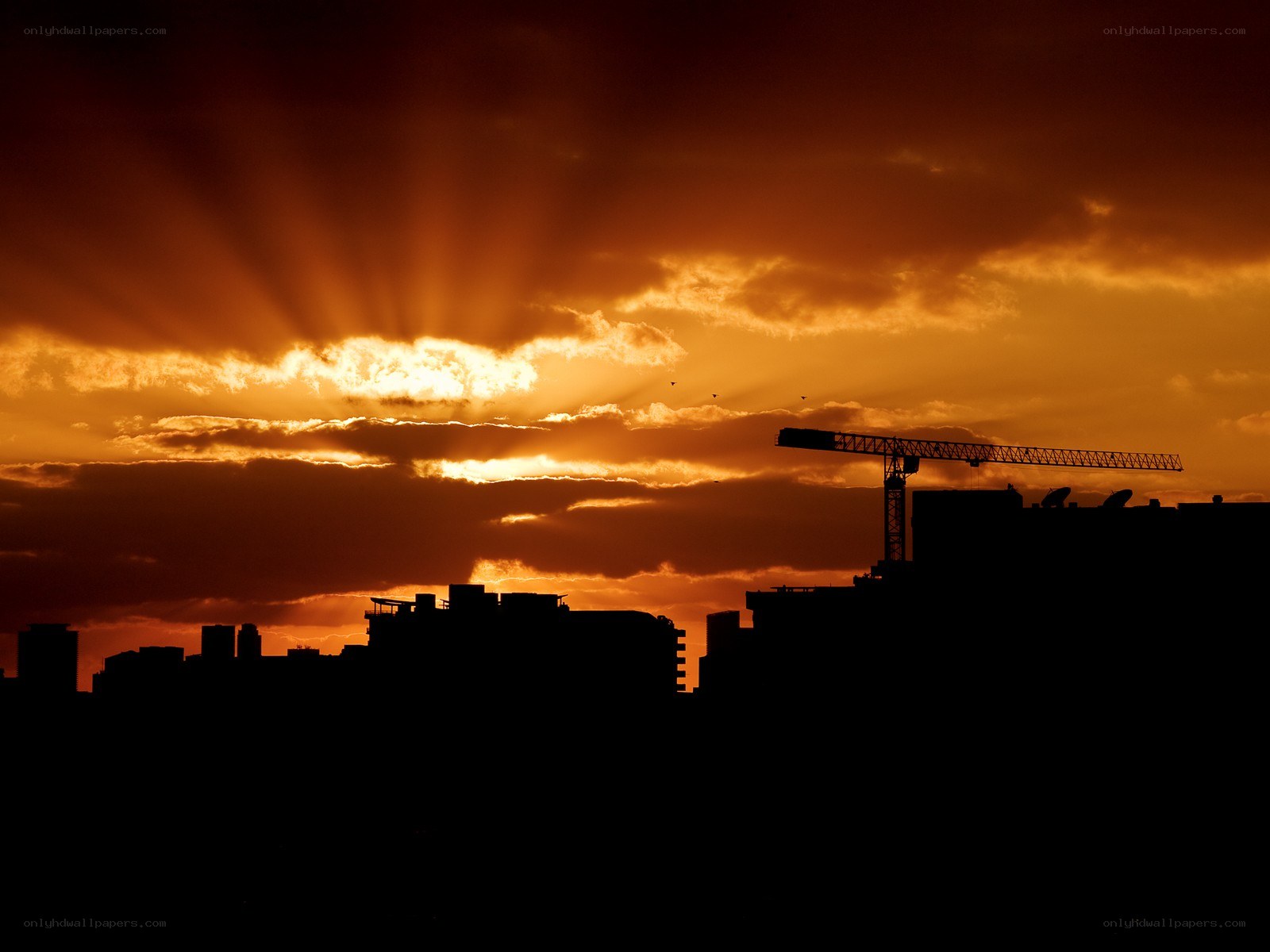 Sunset over city silhouette