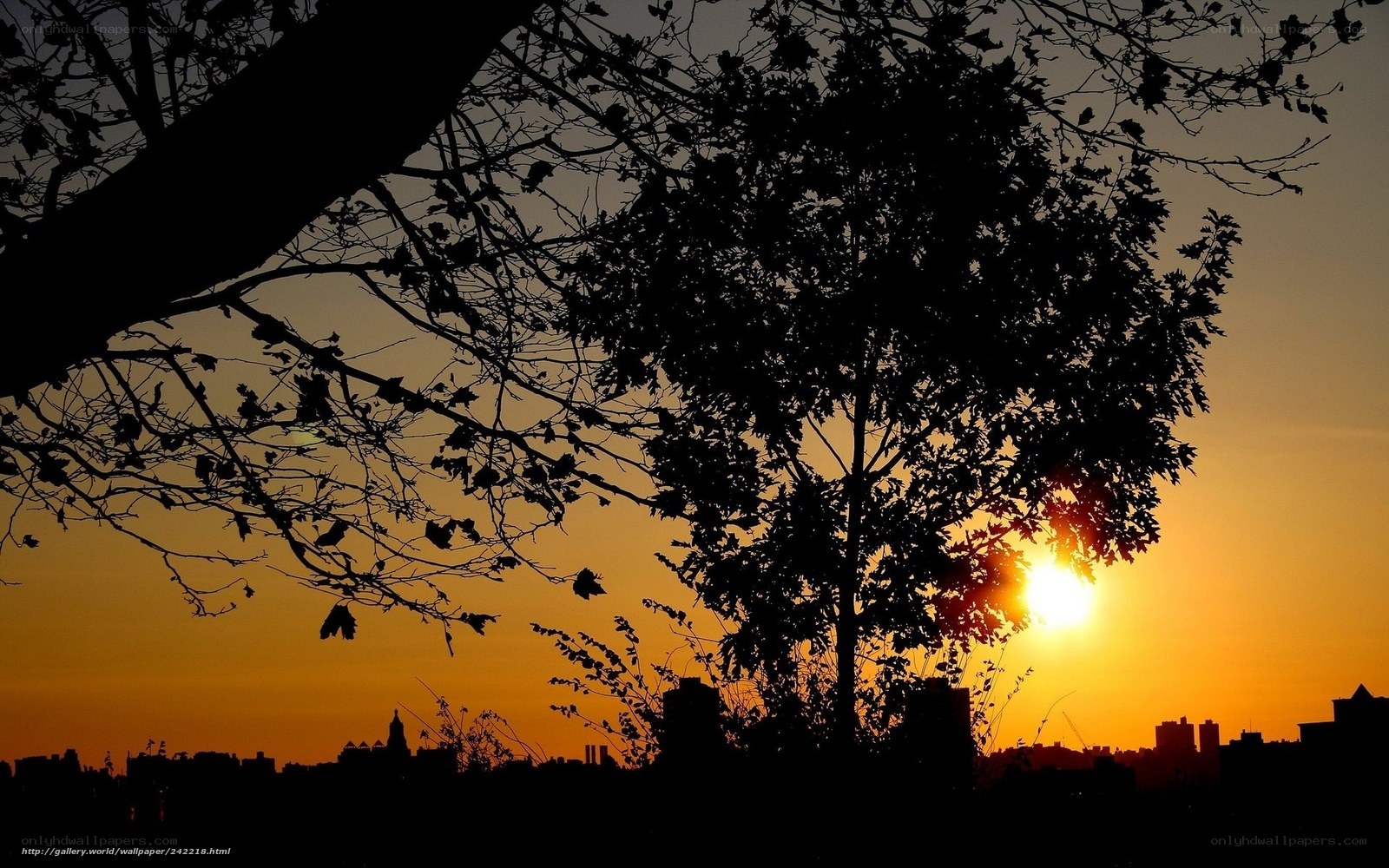 Sunset over city skyline