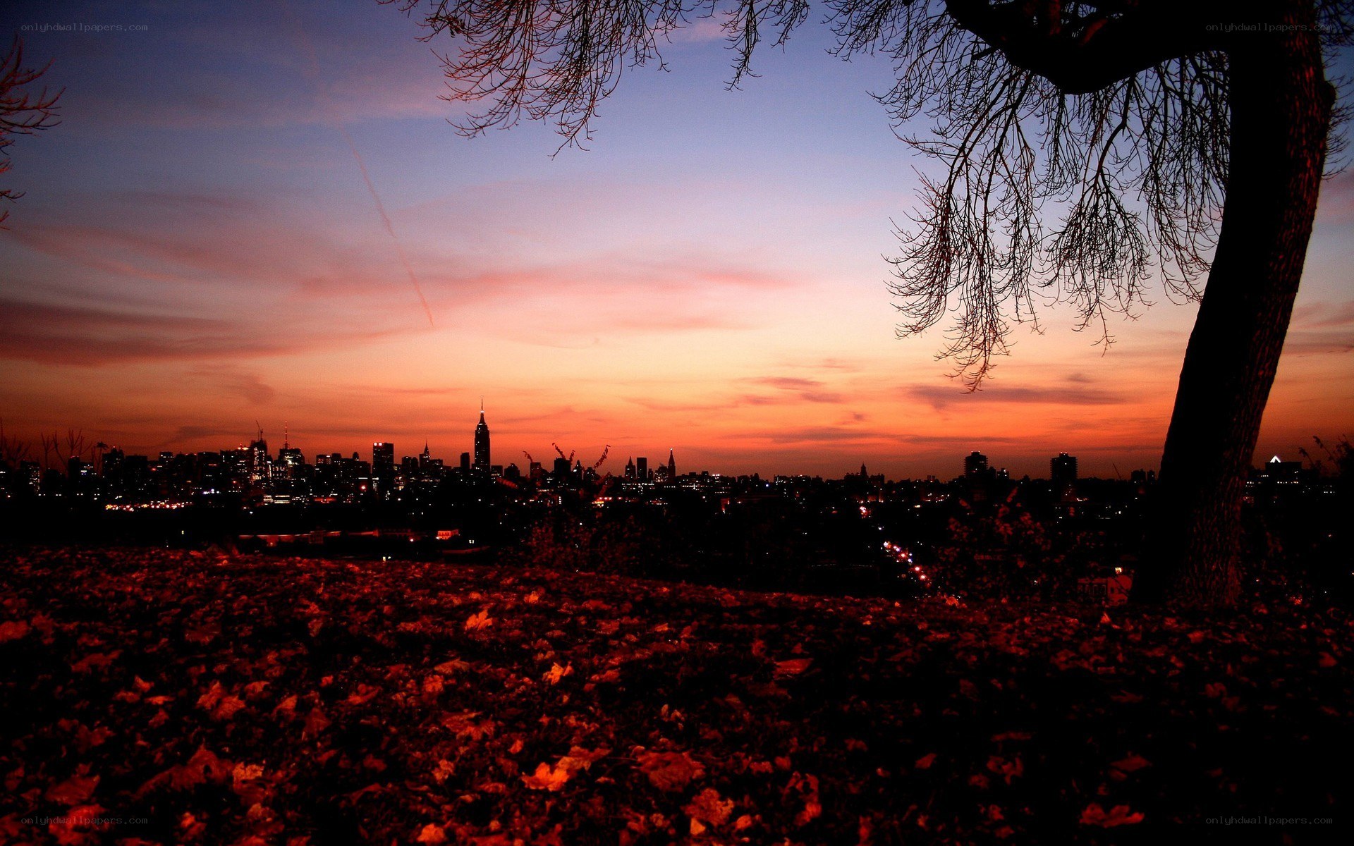 sunset over city skyline