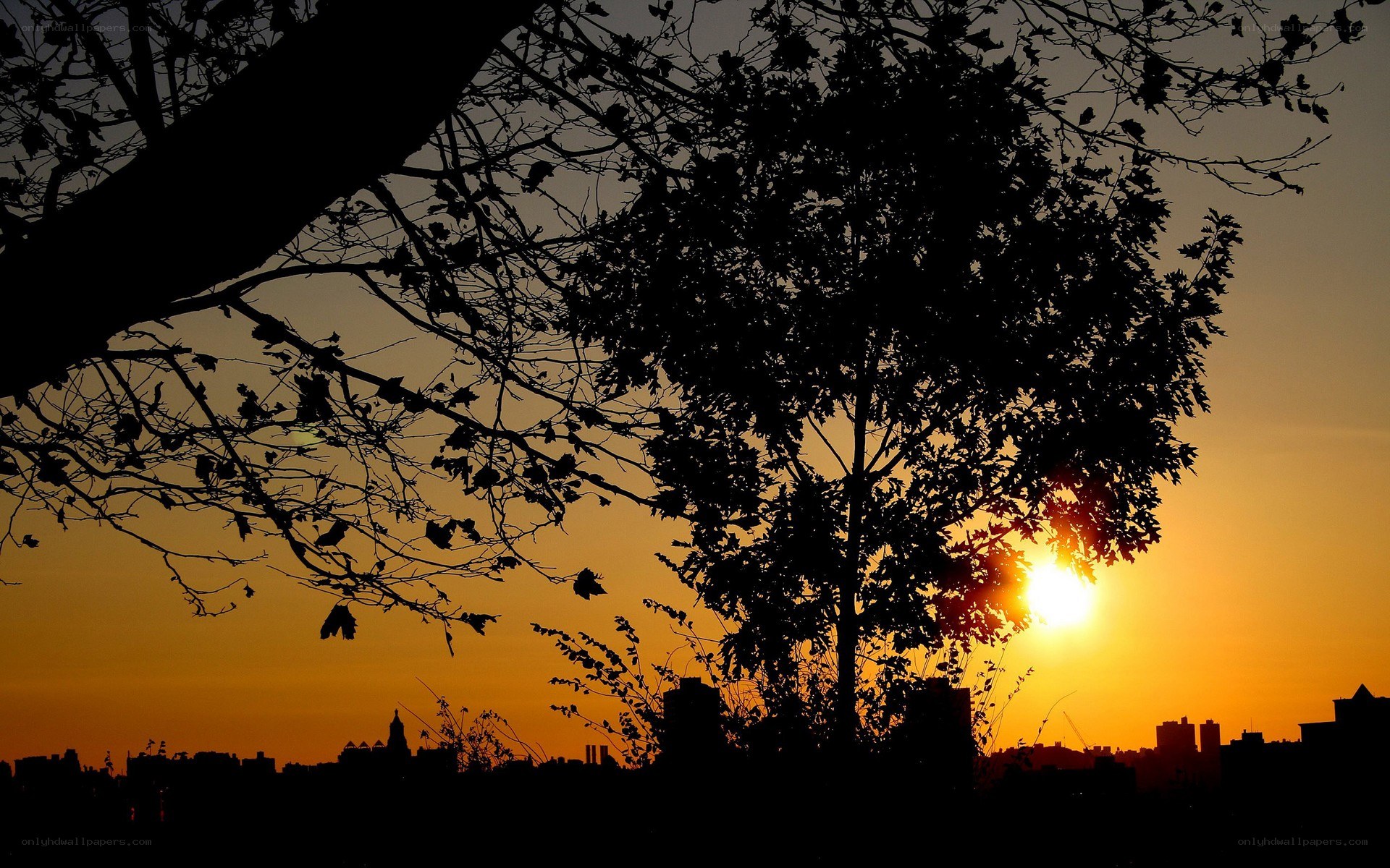 Sunset over city skyline