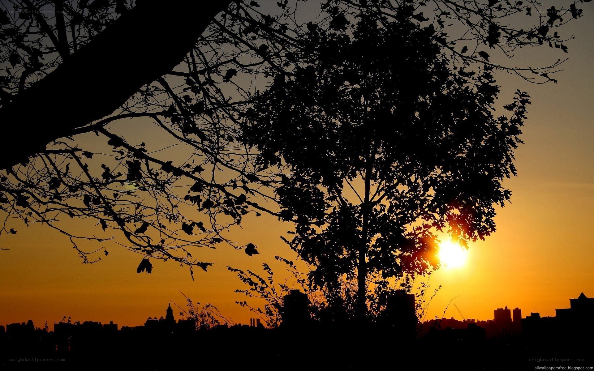 Sunset over city skyline