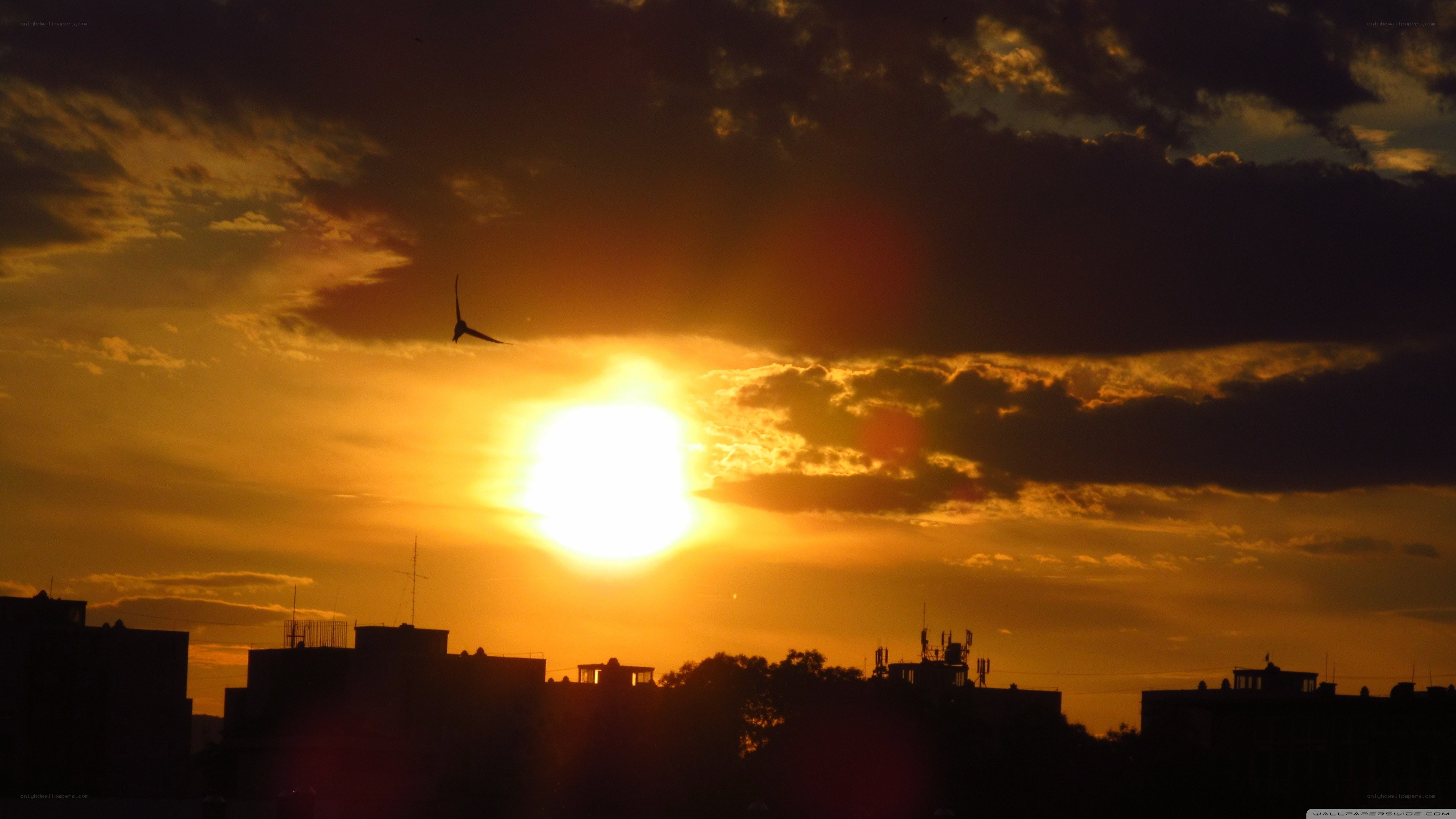 Sunset over city skyline