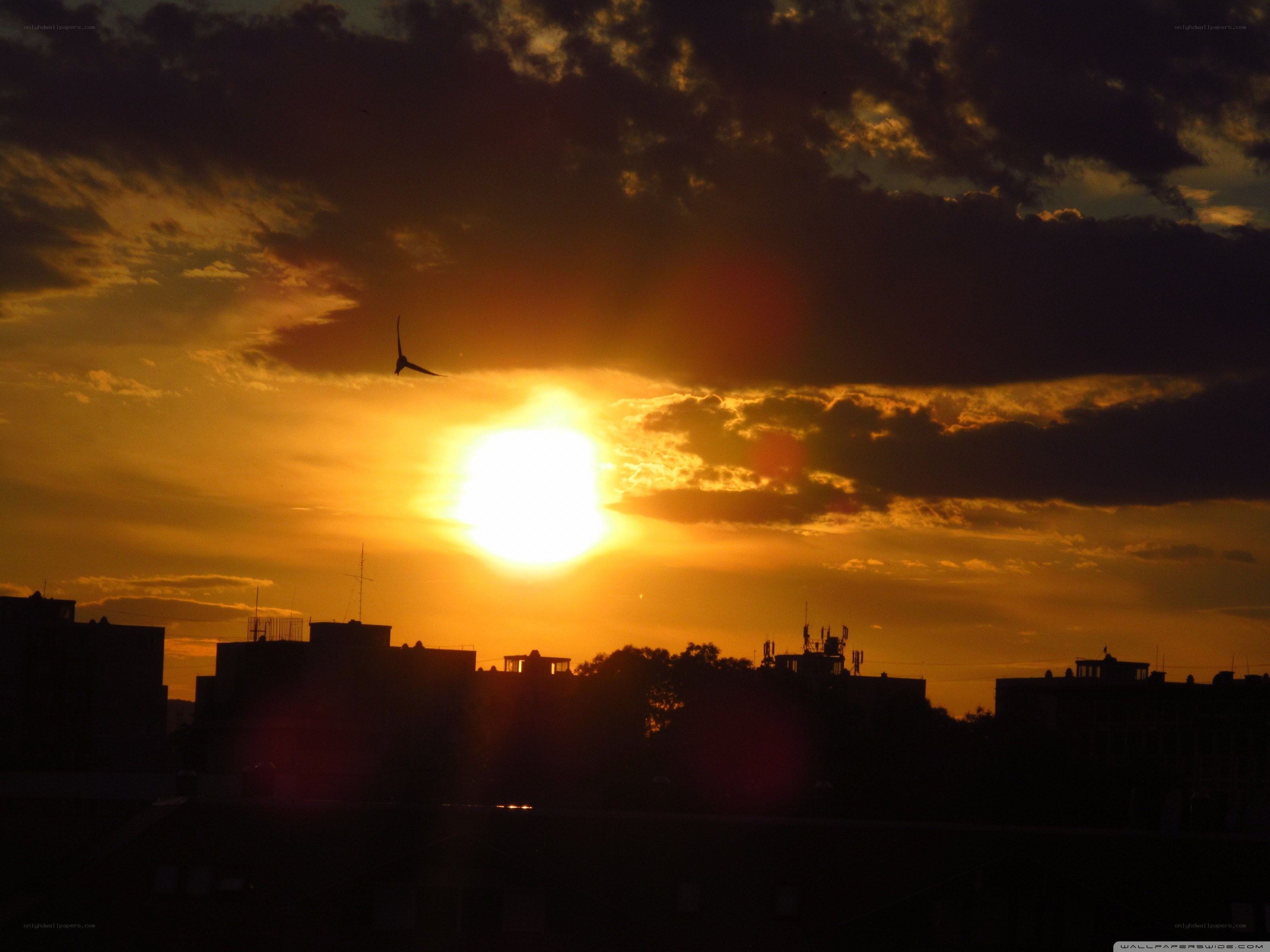 Sunset over city skyline
