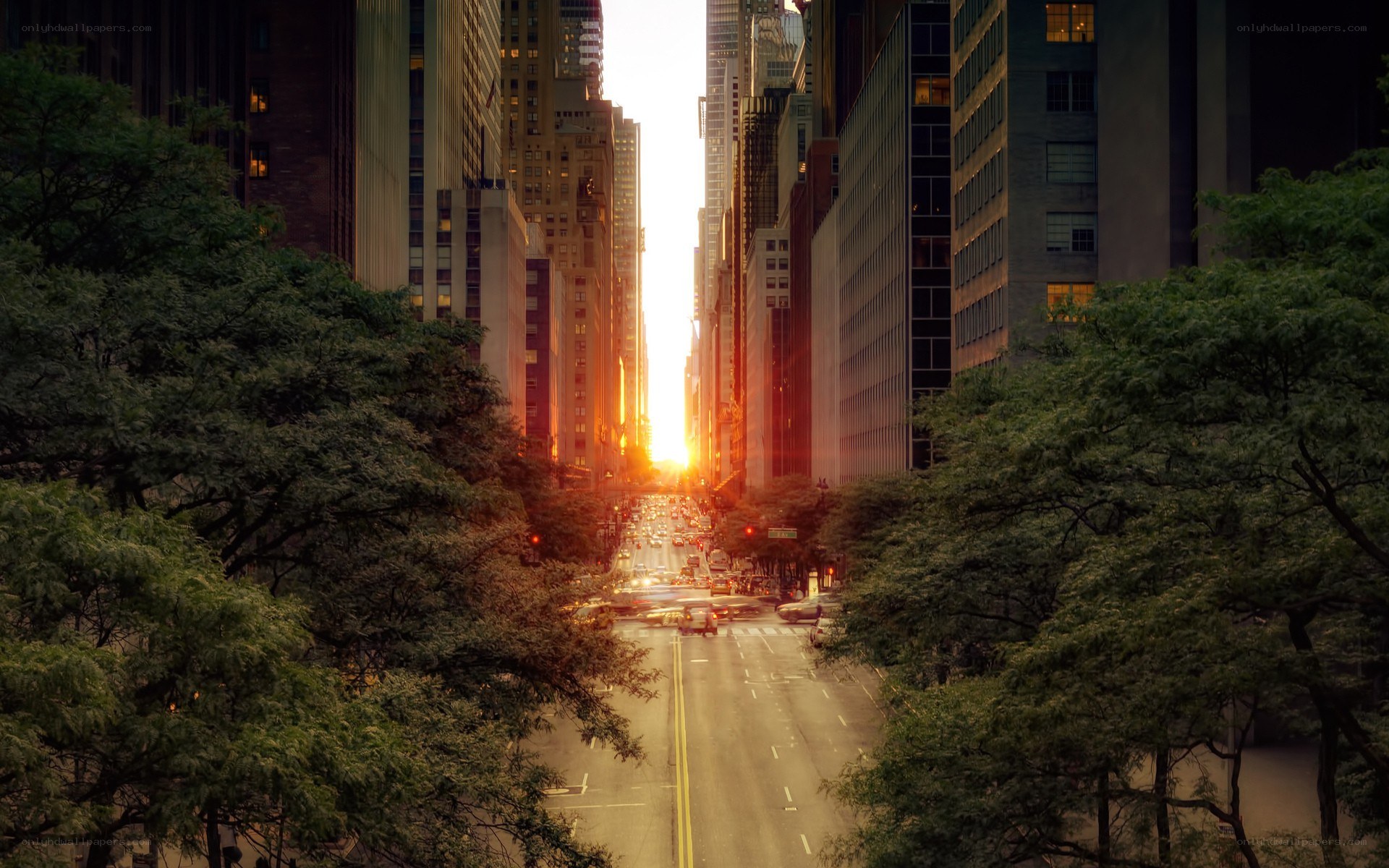 Sunset over city street