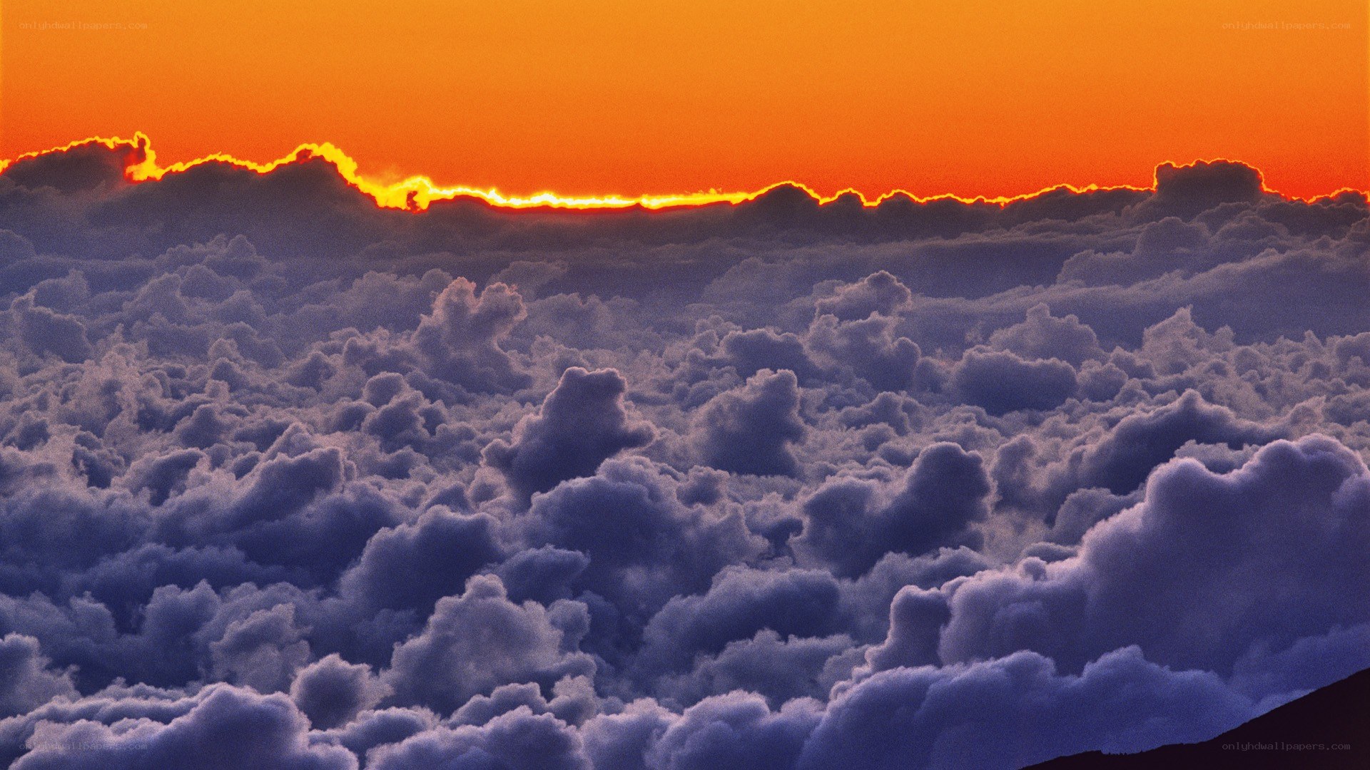 Sunset over cloud sea