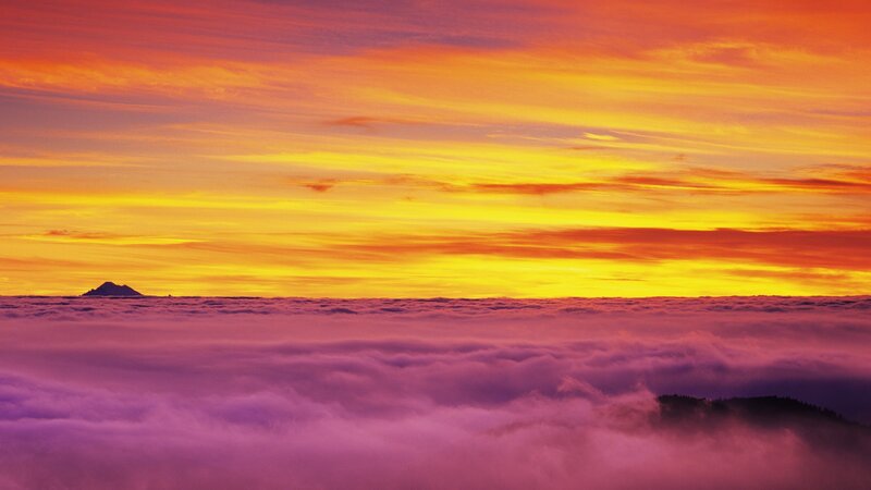 Sunset over cloud sea