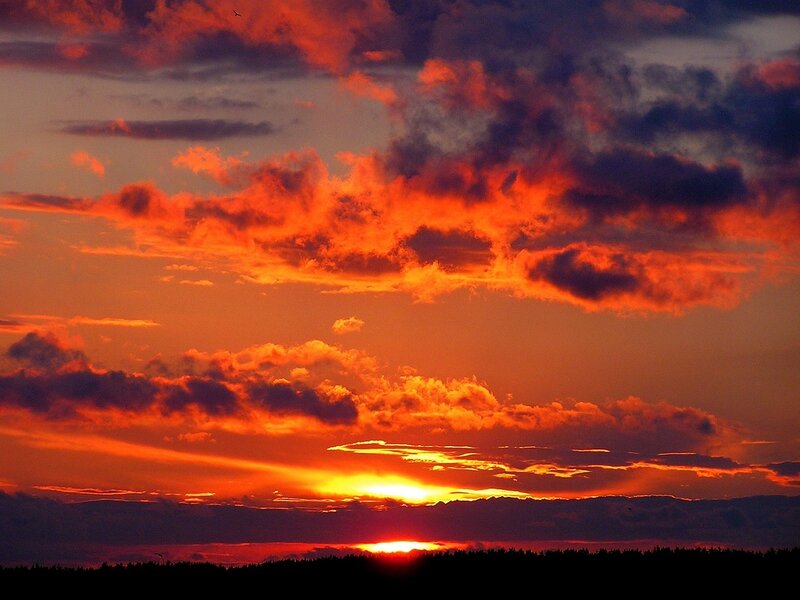 Sunset over Clouds — Orange, Dramatic, Photograph, Sun, Silhouette