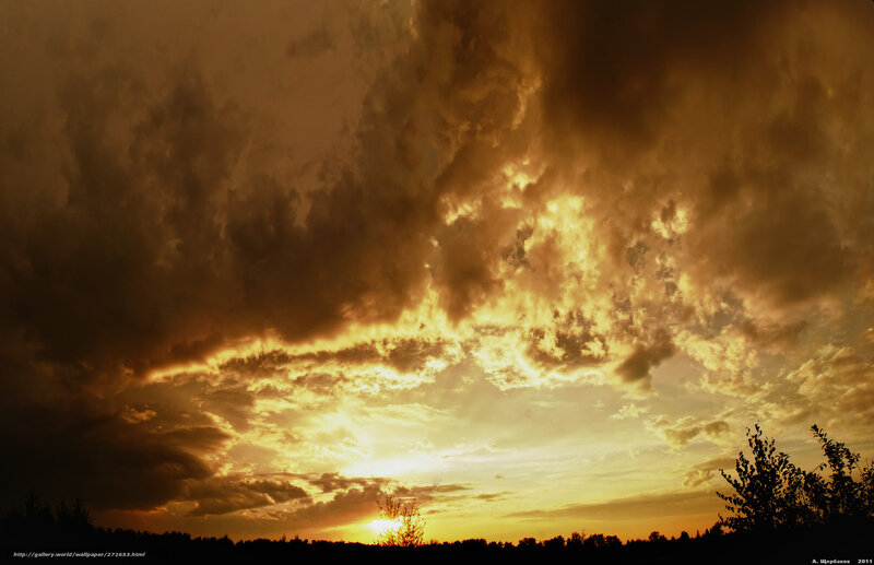 Sunset over Clouds — Orange, Dramatic, Photograph, Trees