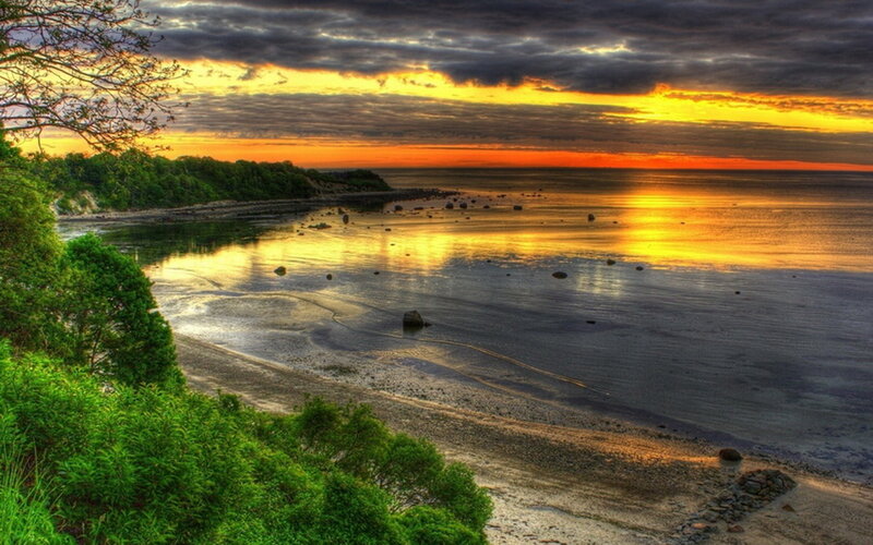 Sunset over Coastal Bay — Orange, Dramatic, Photograph, Trees