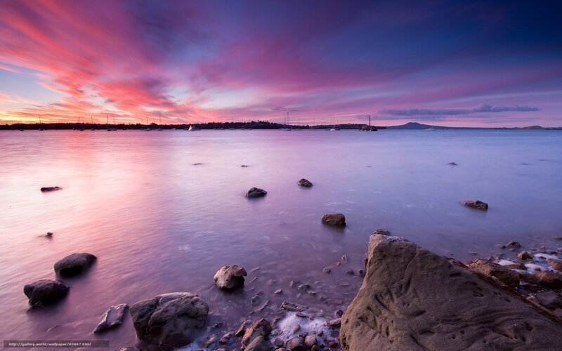 Sunset over Coastal Bay — Purple, Serene