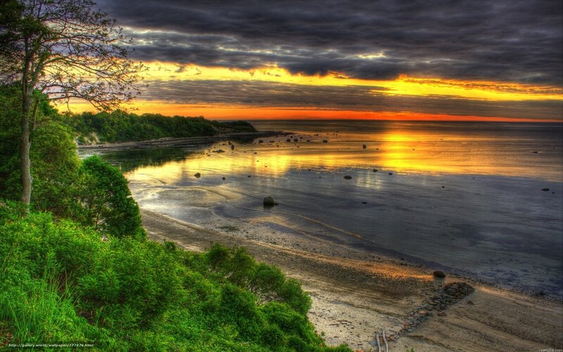 Sunset over Coastal Bay — Yellow, Dramatic, Photograph, Trees, Beach
