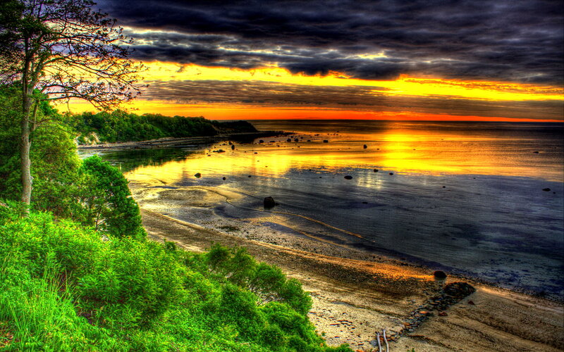 Sunset over Coastal Bay — Yellow, Dramatic, Photograph, Trees