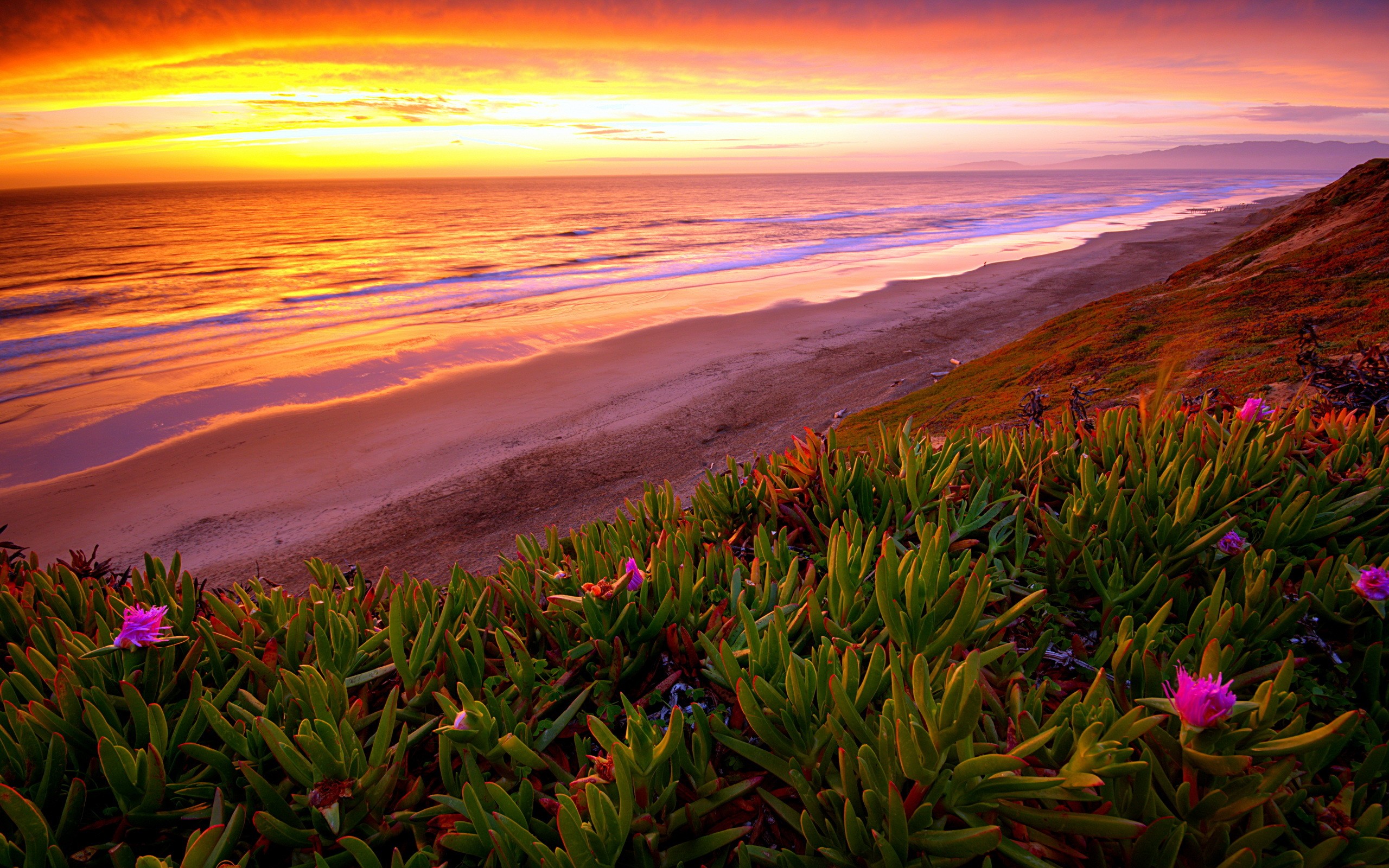 sunset over coastal beach