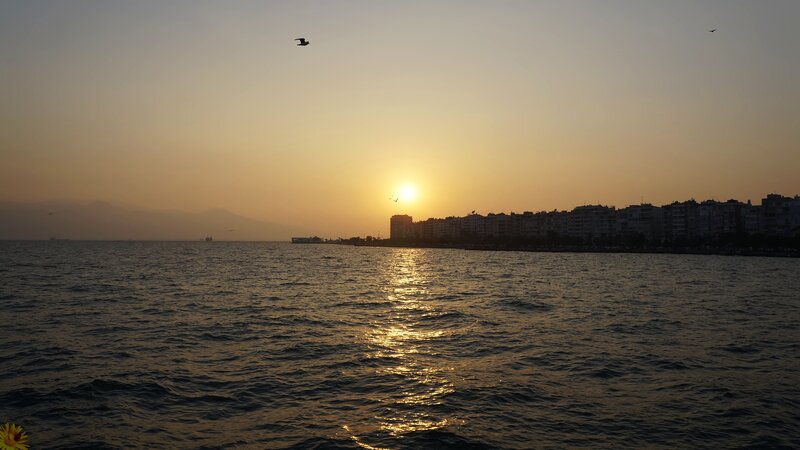 Sunset over Coastal City — Yellow