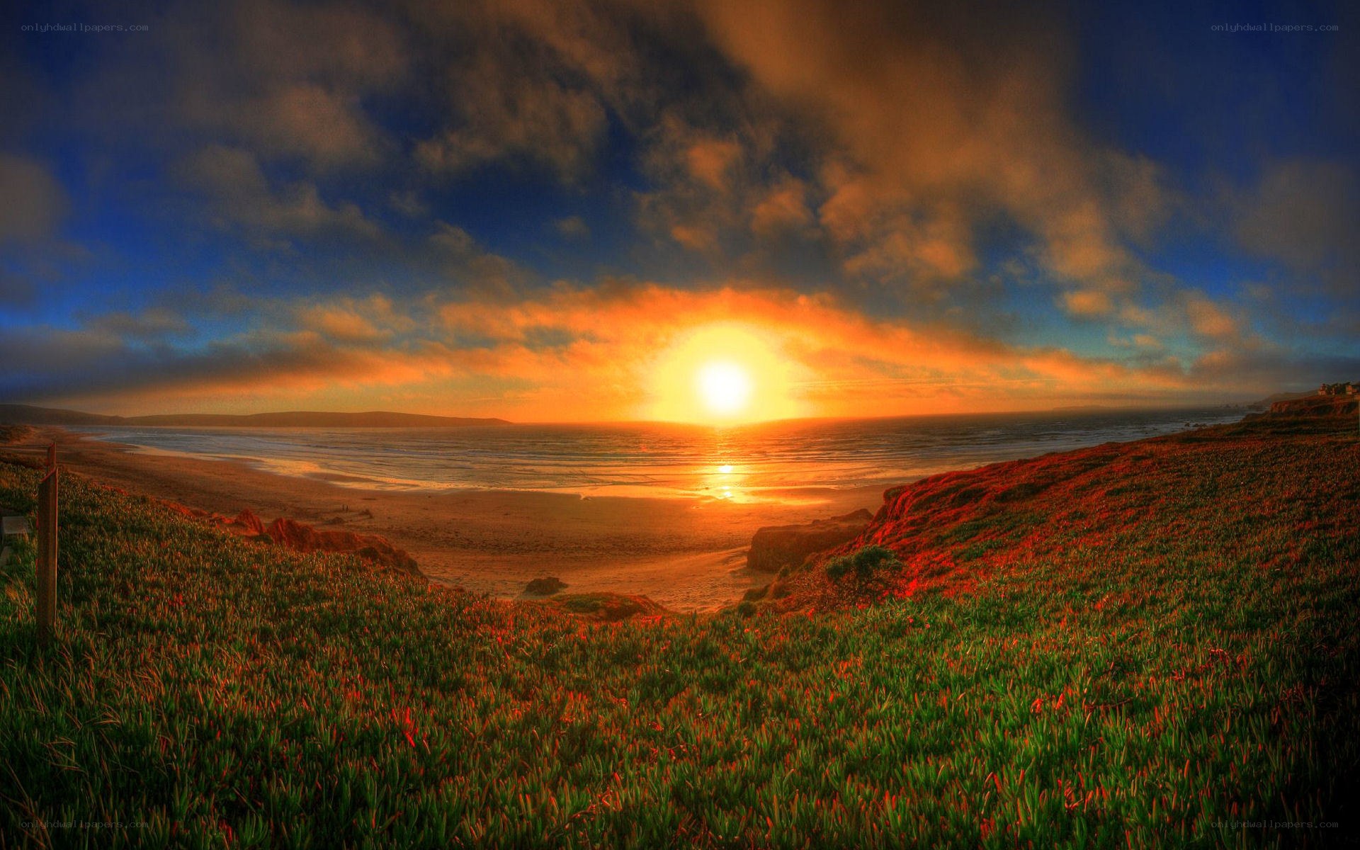 sunset over coastal dunes