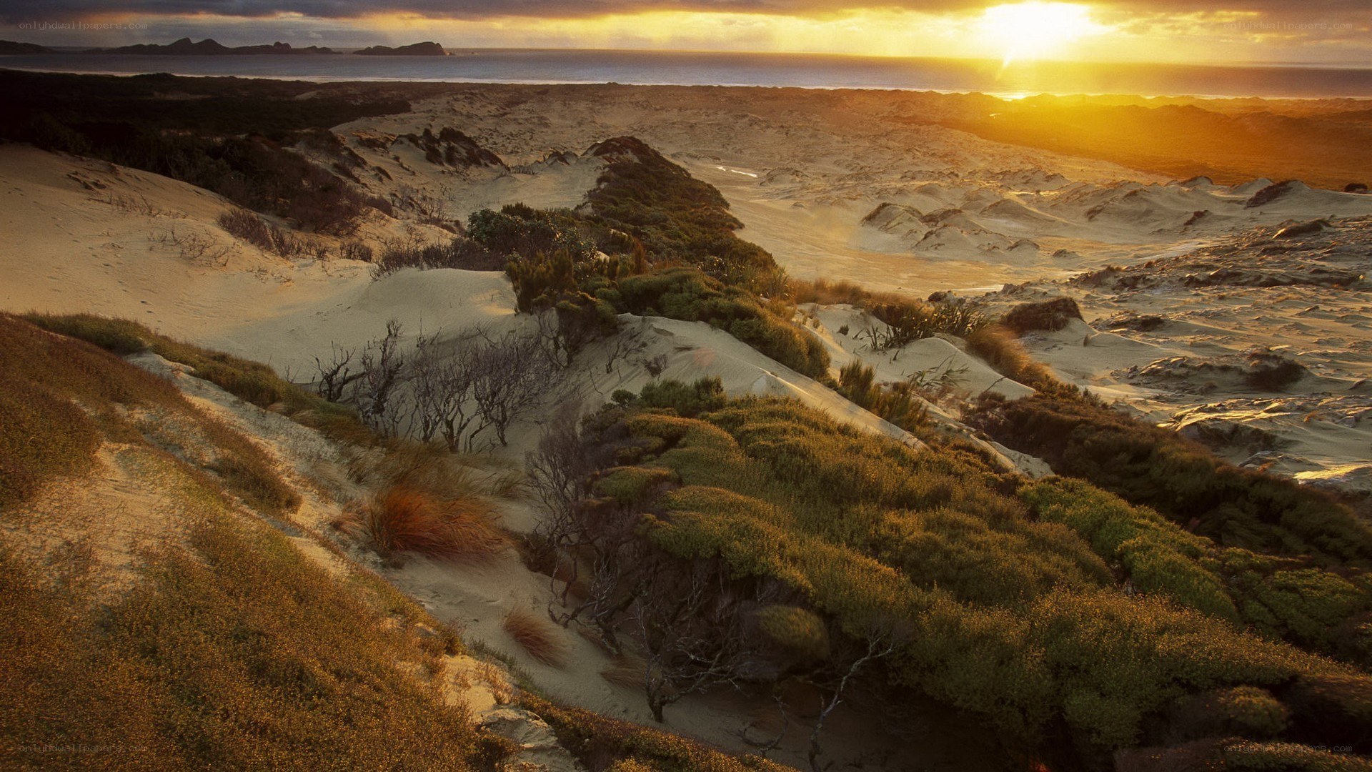 sunset over coastal dunes