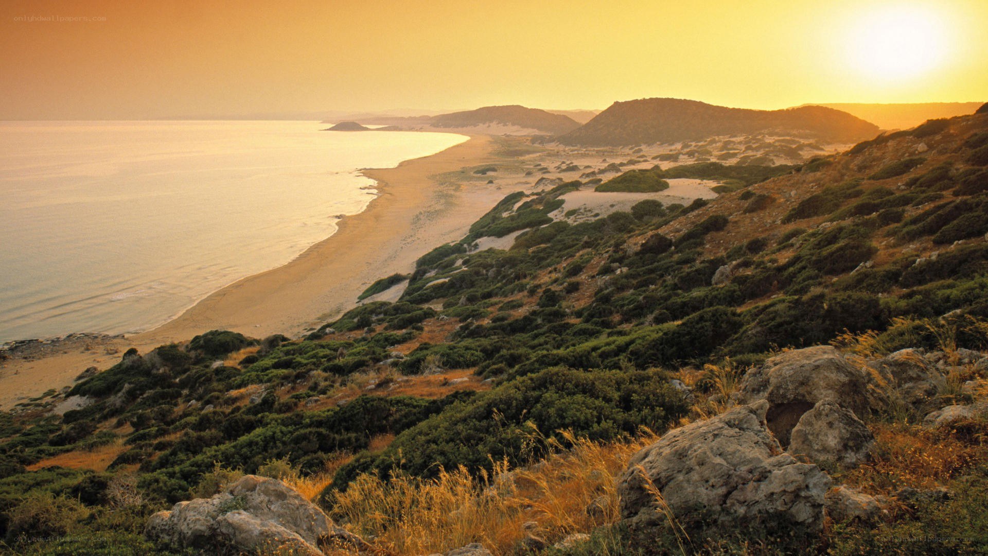 sunset over coastal dunes