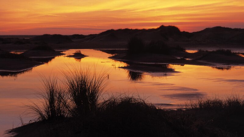 sunset over coastal dunes