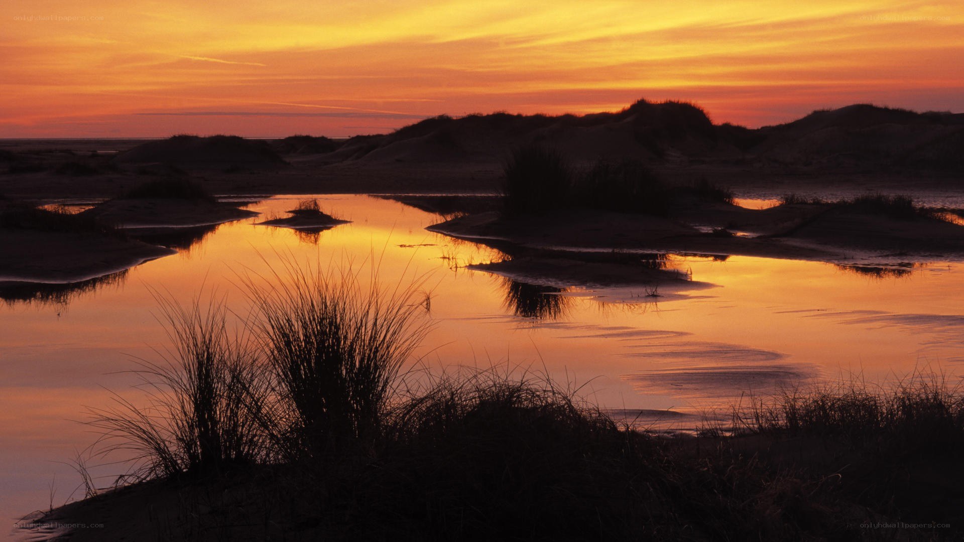 sunset over coastal dunes