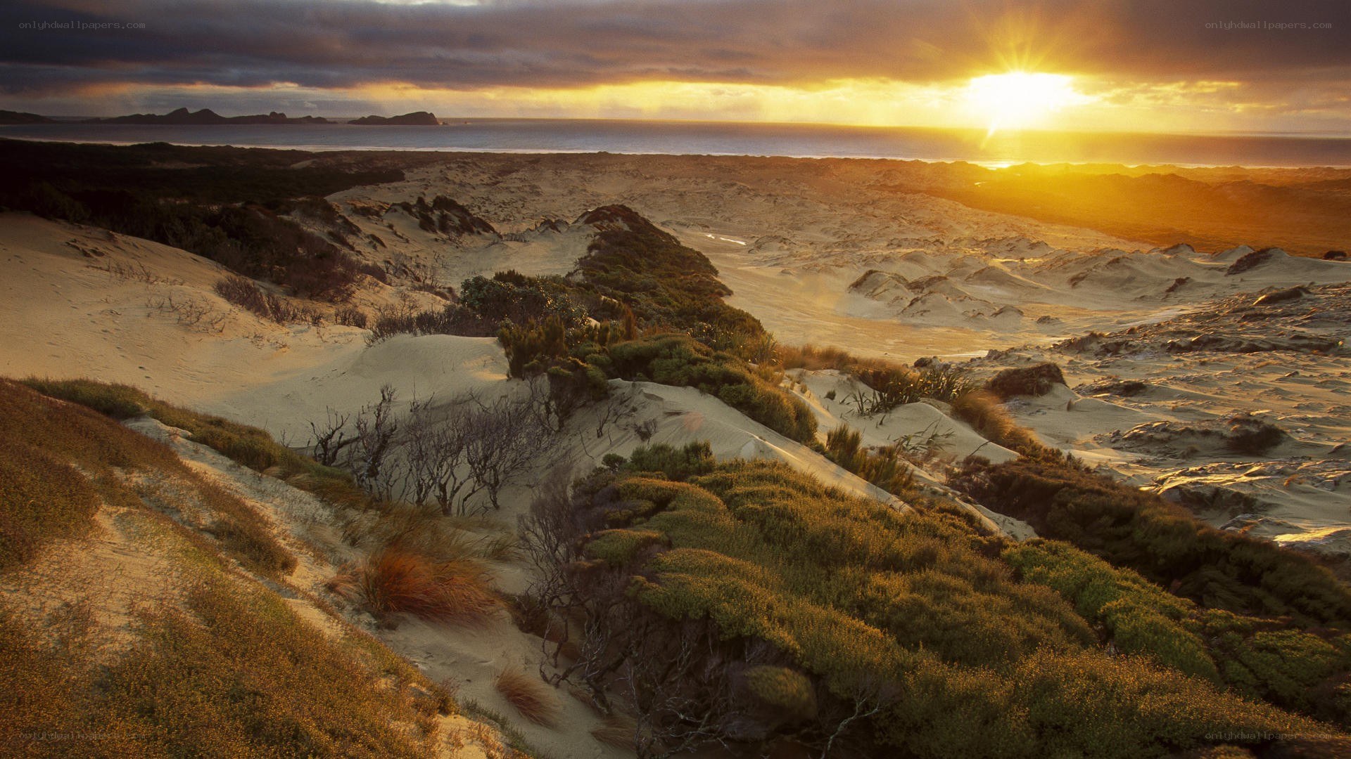 Sunset over coastal dunes