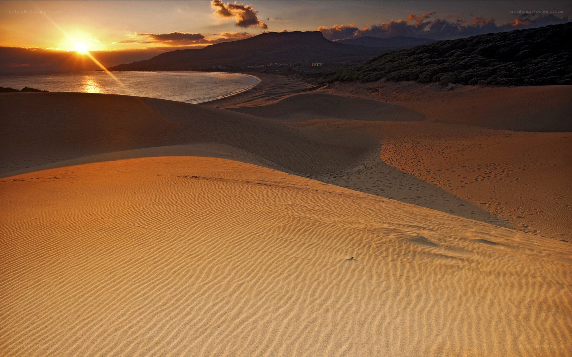sunset over coastal dunes