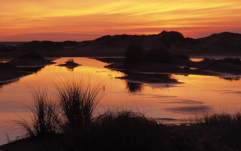 sunset over coastal dunes