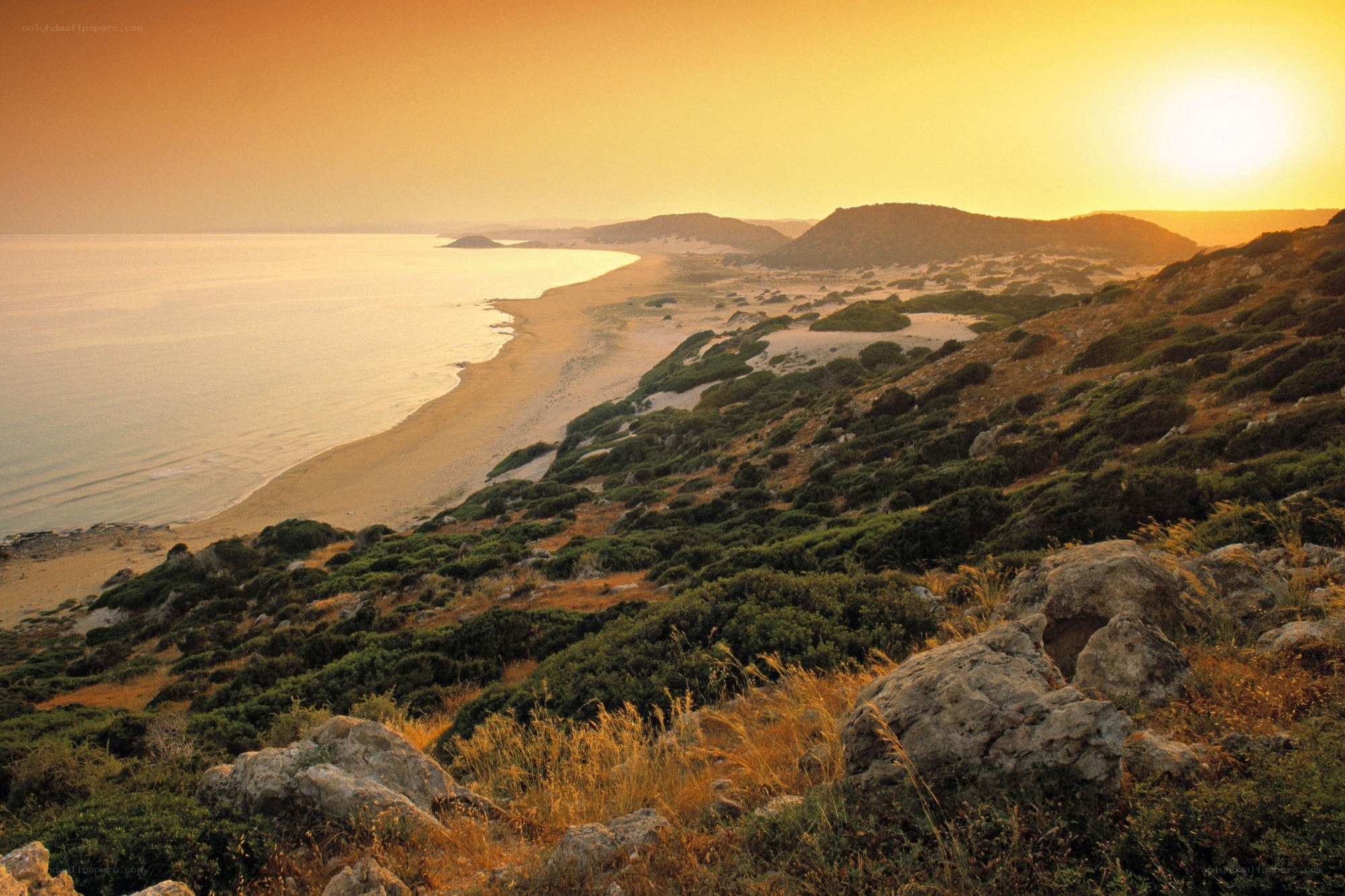 Sunset over coastal dunes