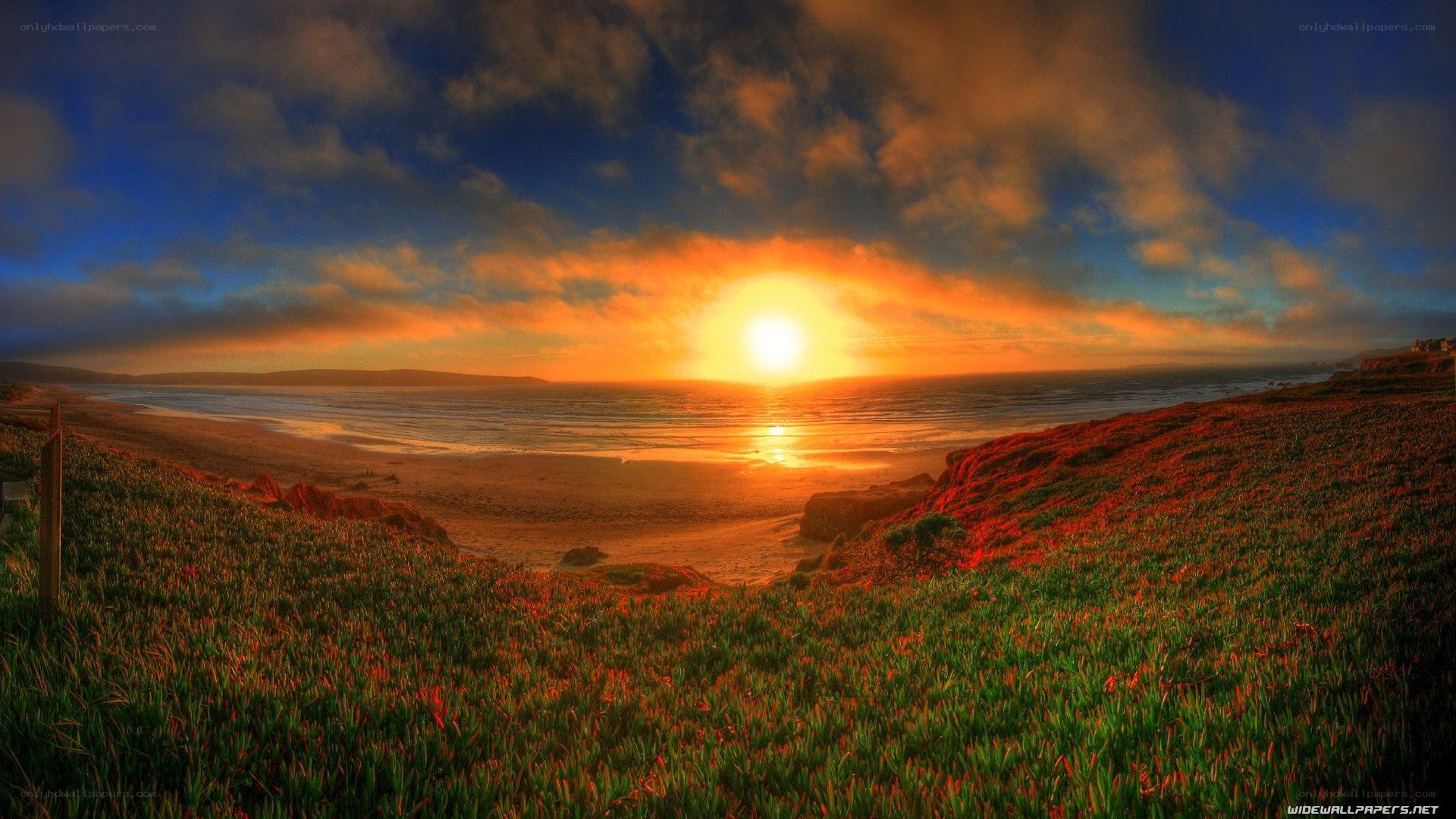 sunset over coastal dunes