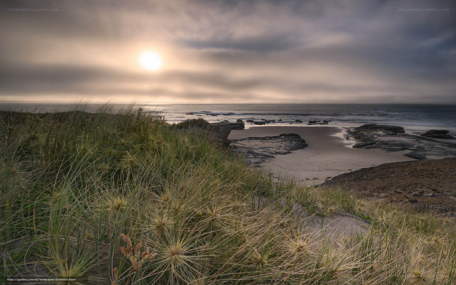 Sunset over coastal dunes